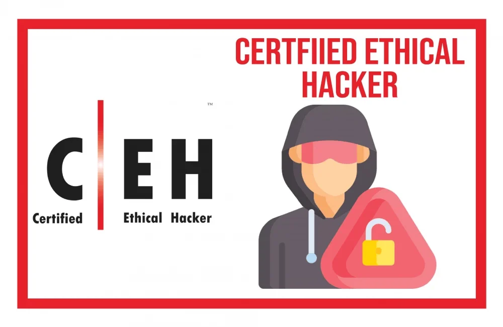 Ethical Hacking And Security eBooks Pack Course